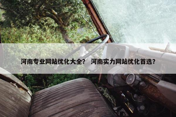 河南专业网站优化大全？ 河南实力网站优化首选？