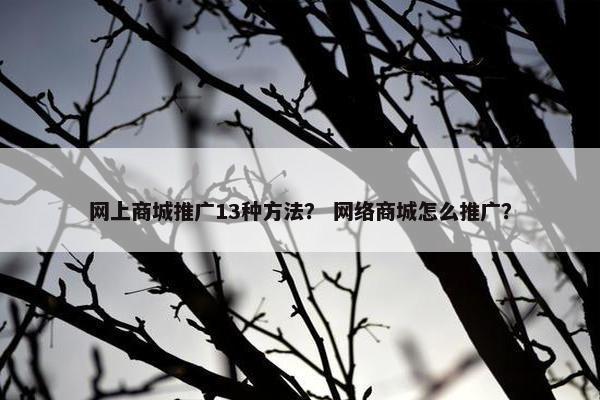 网上商城推广13种方法？ 网络商城怎么推广？