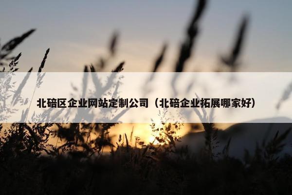 北碚区企业网站定制公司（北碚企业拓展哪家好）