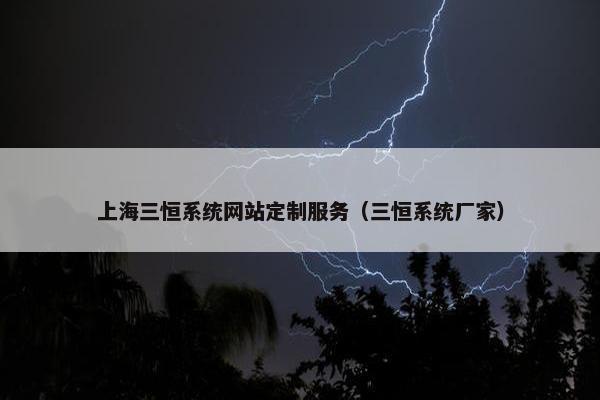 上海三恒系统网站定制服务（三恒系统厂家）