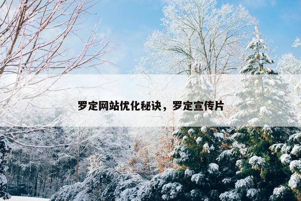 罗定网站优化秘诀，罗定宣传片