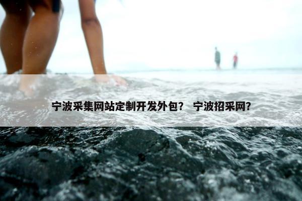 宁波采集网站定制开发外包？ 宁波招采网？
