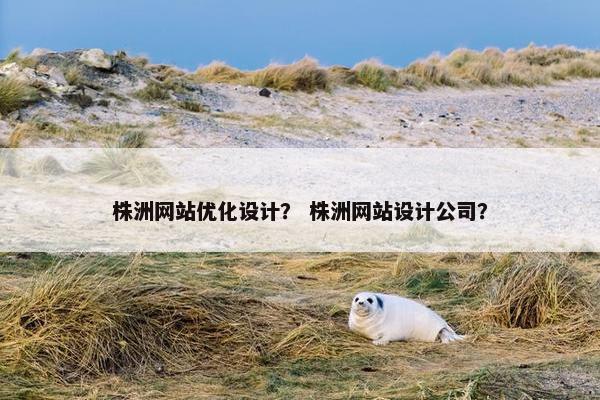 株洲网站优化设计？ 株洲网站设计公司？