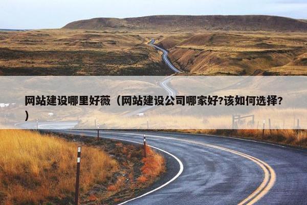 网站建设哪里好薇（网站建设公司哪家好?该如何选择?）