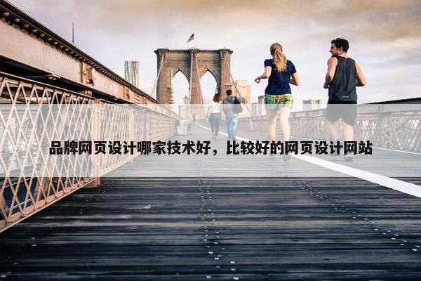品牌网页设计哪家技术好，比较好的网页设计网站