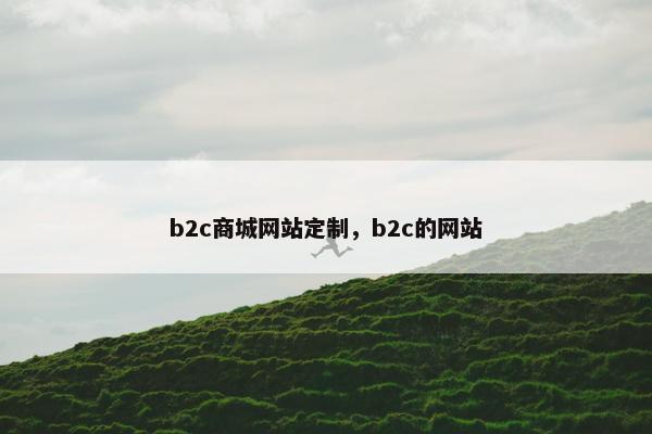 b2c商城网站定制，b2c的网站