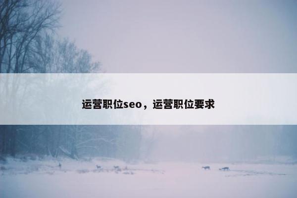 运营职位seo，运营职位要求