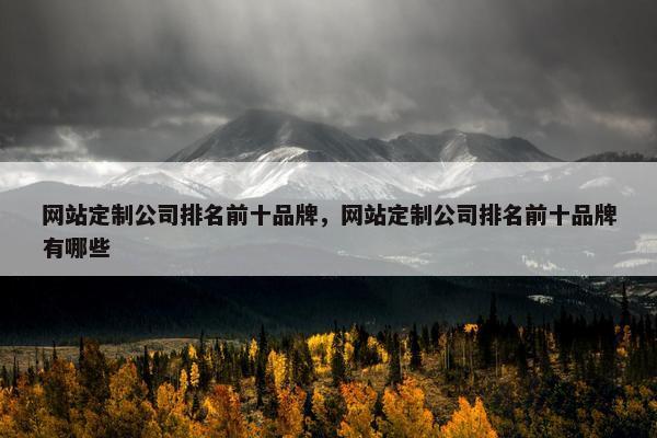 网站定制公司排名前十品牌，网站定制公司排名前十品牌有哪些