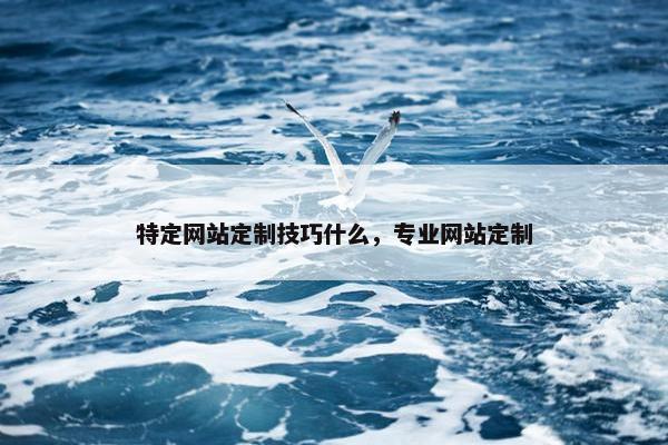 特定网站定制技巧什么，专业网站定制