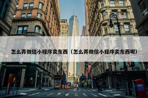 怎么弄微信小程序卖东西（怎么弄微信小程序卖东西呢）