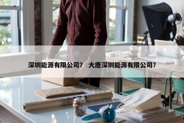 深圳能源有限公司？ 大唐深圳能源有限公司？