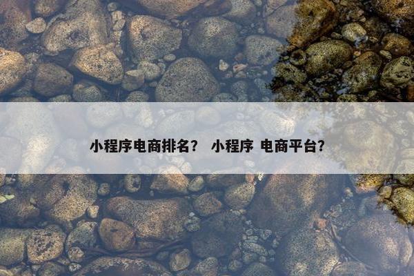 小程序电商排名？ 小程序 电商平台？
