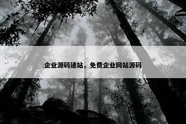 企业源码建站，免费企业网站源码