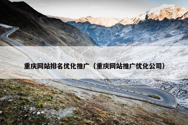 重庆网站排名优化推广（重庆网站推广优化公司）