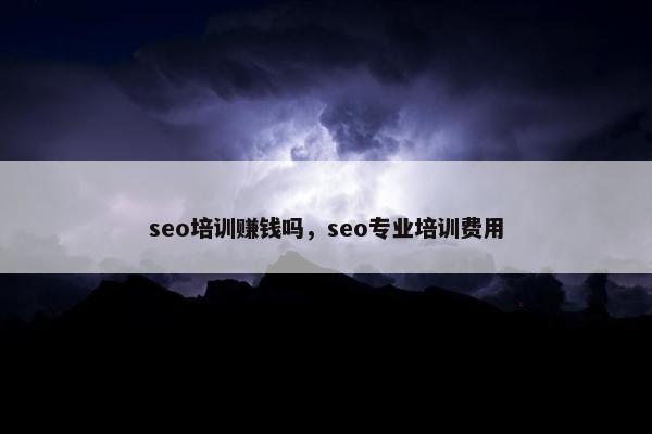 seo培训赚钱吗，seo专业培训费用