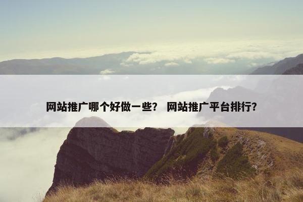 网站推广哪个好做一些？ 网站推广平台排行？