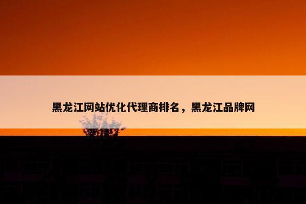 黑龙江网站优化代理商排名，黑龙江品牌网