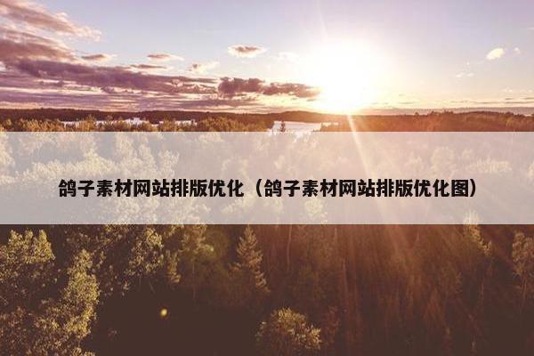 鸽子素材网站排版优化（鸽子素材网站排版优化图）