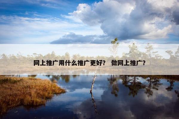 网上推广用什么推广更好？ 做网上推广？