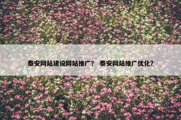 泰安网站建设网站推广？ 泰安网站推广优化？