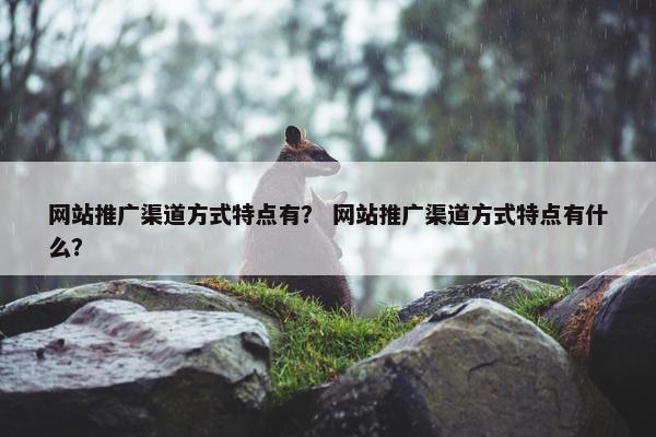 网站推广渠道方式特点有？ 网站推广渠道方式特点有什么？