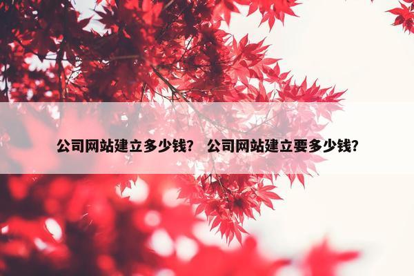 公司网站建立多少钱？ 公司网站建立要多少钱？