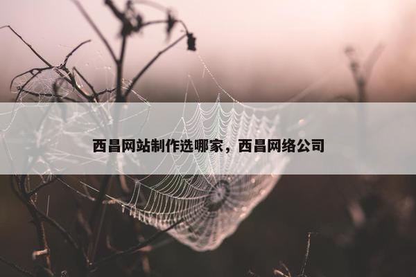 西昌网站制作选哪家，西昌网络公司