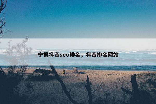 宁德抖音seo排名，抖音排名网站