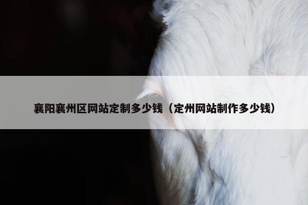 襄阳襄州区网站定制多少钱（定州网站制作多少钱）