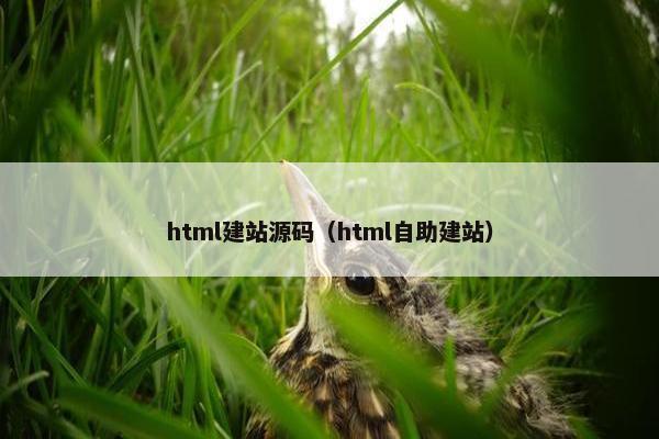 html建站源码（html自助建站）