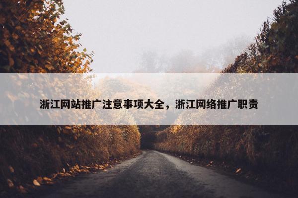 浙江网站推广注意事项大全，浙江网络推广职责