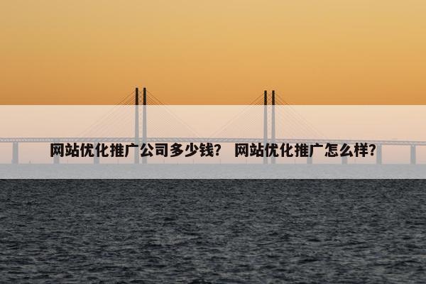 网站优化推广公司多少钱？ 网站优化推广怎么样？