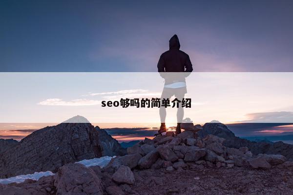seo够吗的简单介绍