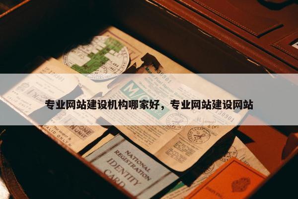 专业网站建设机构哪家好，专业网站建设网站