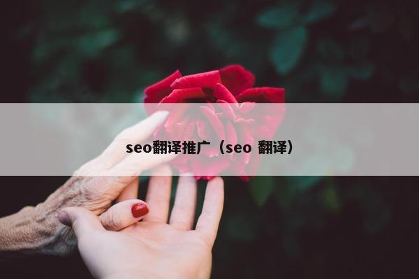 seo翻译推广（seo 翻译）