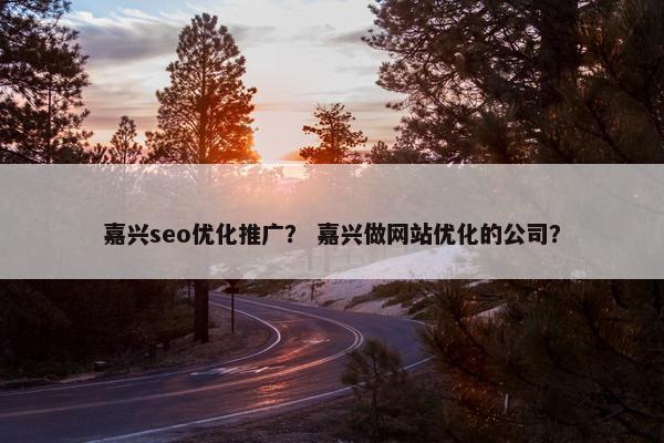 嘉兴seo优化推广？ 嘉兴做网站优化的公司？