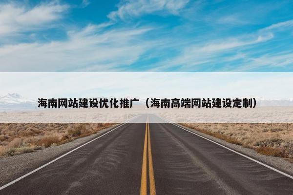 海南网站建设优化推广（海南高端网站建设定制）