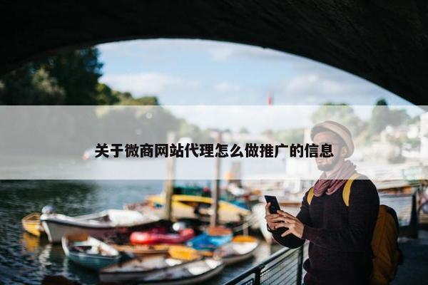 关于微商网站代理怎么做推广的信息
