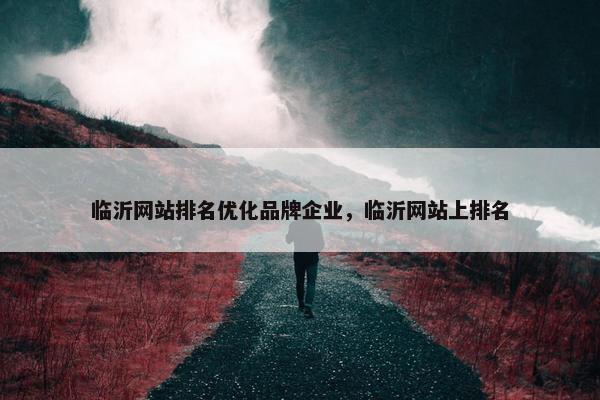 临沂网站排名优化品牌企业，临沂网站上排名