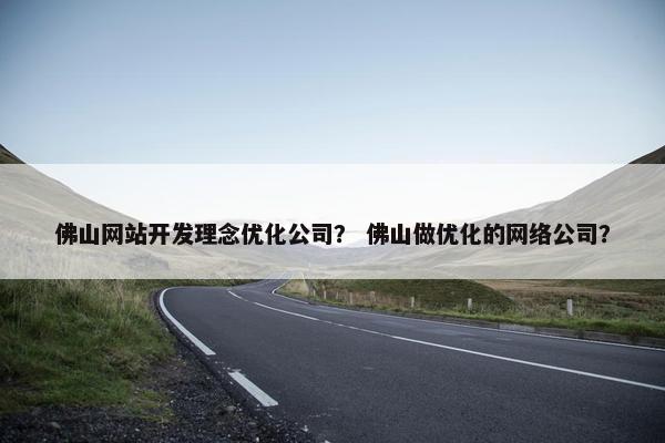 佛山网站开发理念优化公司？ 佛山做优化的网络公司？