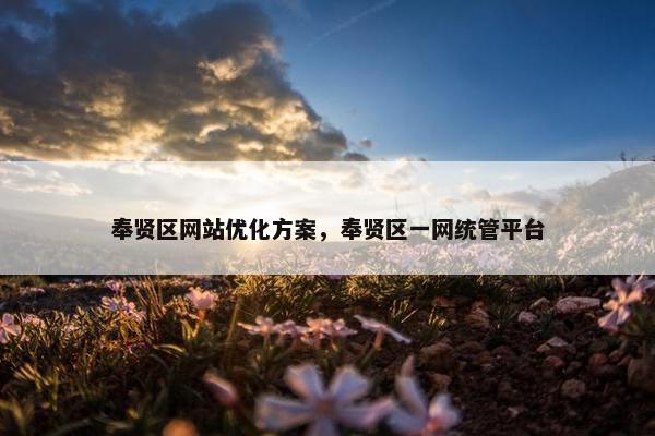 奉贤区网站优化方案，奉贤区一网统管平台