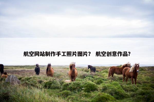 航空网站制作手工照片图片？ 航空创意作品？