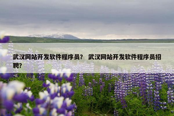 武汉网站开发软件程序员？ 武汉网站开发软件程序员招聘？