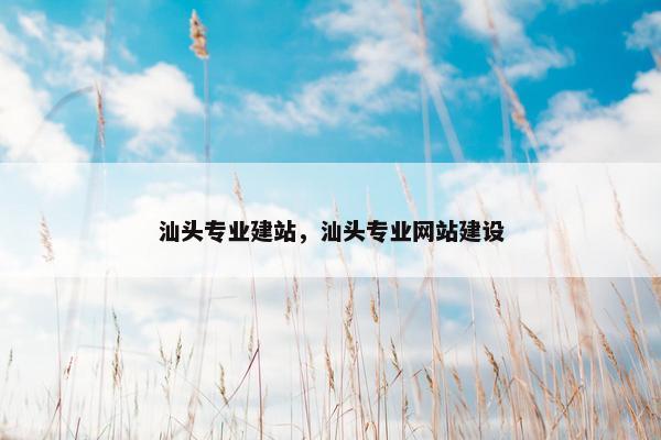 汕头专业建站，汕头专业网站建设