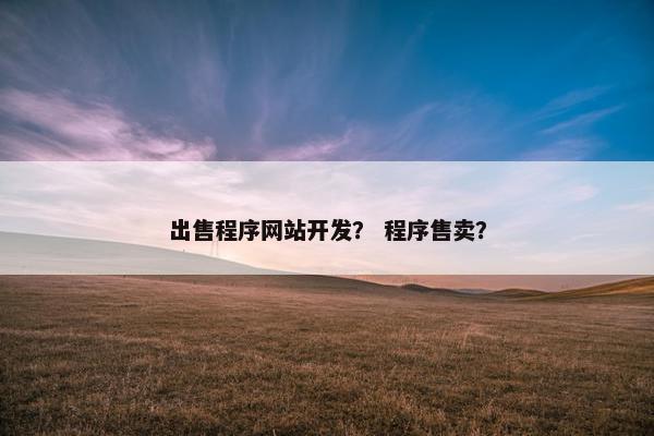 出售程序网站开发？ 程序售卖？