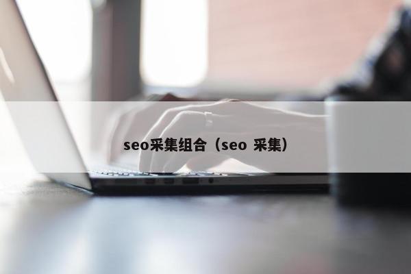 seo采集组合（seo 采集）