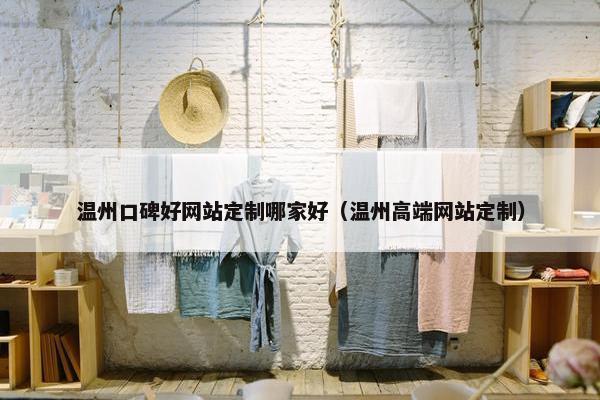 温州口碑好网站定制哪家好（温州高端网站定制）