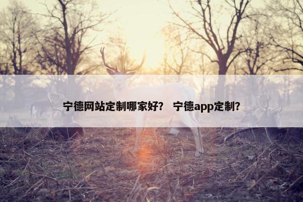 宁德网站定制哪家好？ 宁德app定制？