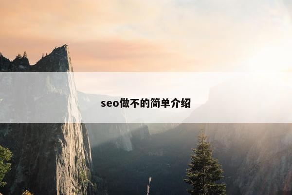 seo做不的简单介绍