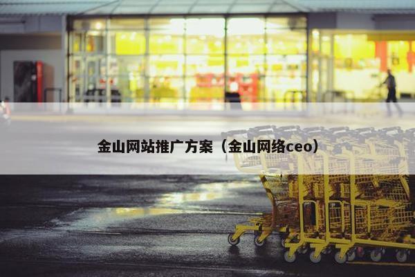 金山网站推广方案（金山网络ceo）